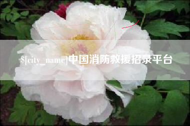 遵化市中国消防救援招录平台