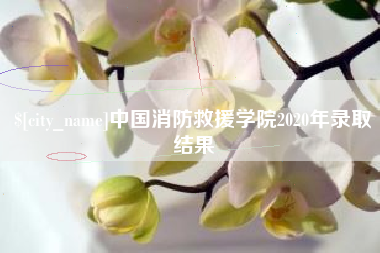 遵化市中国消防救援学院2020年录取结果
