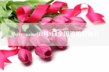 遵化市11月9日全国消防日图片