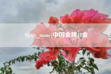遵化市中国金牌18金