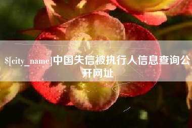 遵化市中国失信被执行人信息查询公开网址