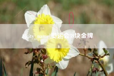 遵化市奥运会39块金牌