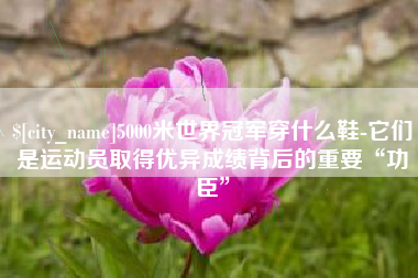 遵化市5000米世界冠军穿什么鞋-它们是运动员取得优异成绩背后的重要“功臣”