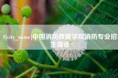 遵化市中国消防救援学院消防专业招生简章