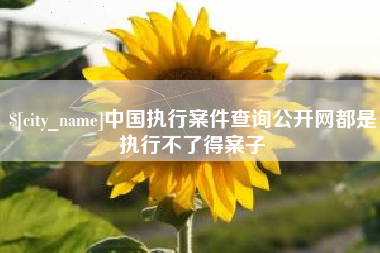 遵化市中国执行案件查询公开网都是执行不了得案子