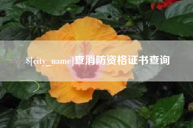 遵化市查消防资格证书查询
