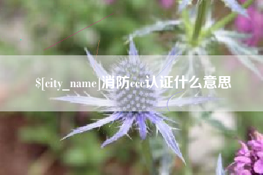 遵化市消防ccc认证什么意思