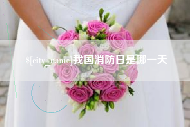 遵化市我国消防日是哪一天