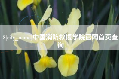 遵化市中国消防救援学院官网首页查询