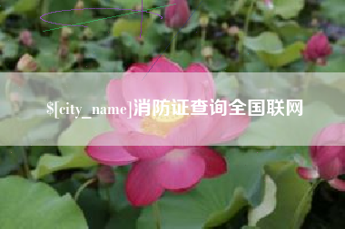 遵化市消防证查询全国联网
