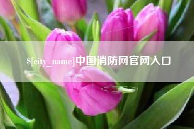 遵化市中国消防网官网入口