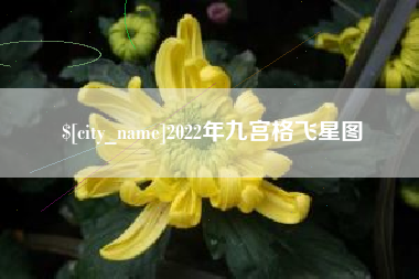 遵化市2022年九宫格飞星图
