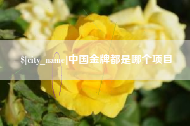 遵化市中国金牌都是哪个项目