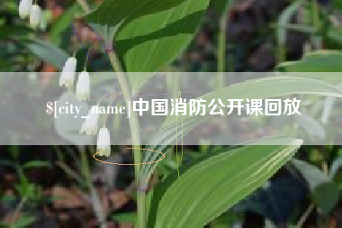 遵化市中国消防公开课回放