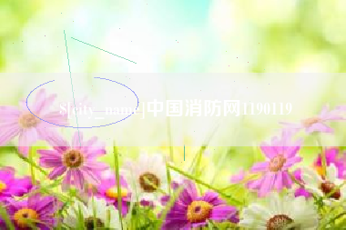 遵化市中国消防网1190119