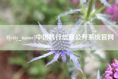 遵化市中国执行信息公开系统官网