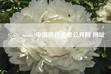 遵化市中国执行信息公开网 网址