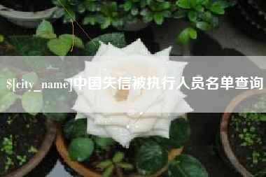 遵化市中国失信被执行人员名单查询