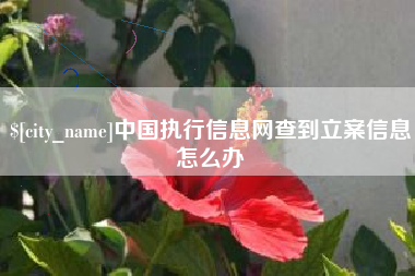 遵化市中国执行信息网查到立案信息怎么办