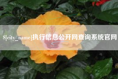 遵化市执行信息公开网查询系统官网