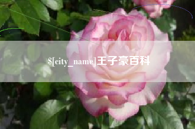遵化市王子豪百科