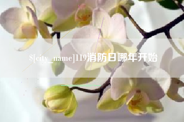 遵化市119消防日哪年开始