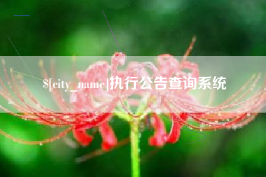 遵化市执行公告查询系统