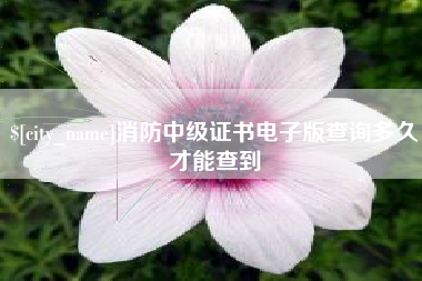 遵化市消防中级证书电子版查询多久才能查到