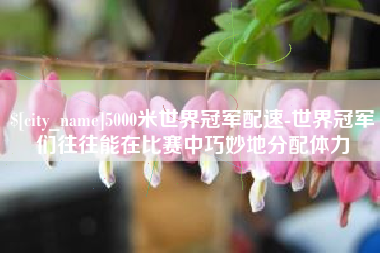 遵化市5000米世界冠军配速-世界冠军们往往能在比赛中巧妙地分配体力