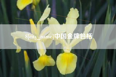 遵化市中国金牌包括