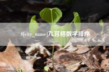 遵化市九宫格数字排序