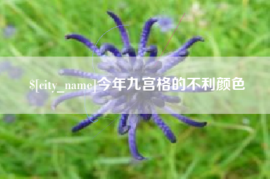 遵化市今年九宫格的不利颜色