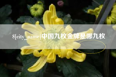 遵化市中国九枚金牌是哪九枚