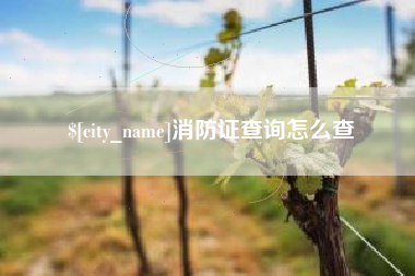 遵化市消防证查询怎么查