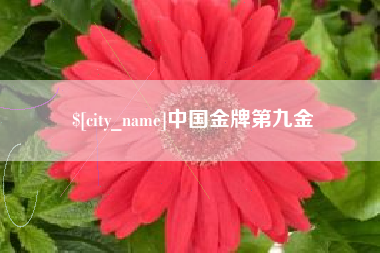 遵化市中国金牌第九金