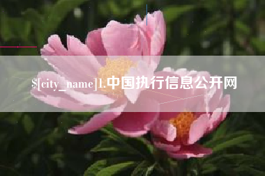 遵化市1.中国执行信息公开网