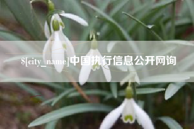 遵化市中国执行信息公开网询