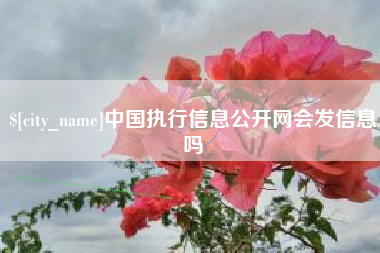 遵化市中国执行信息公开网会发信息吗