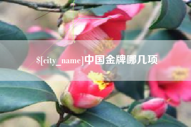 遵化市中国金牌哪几项