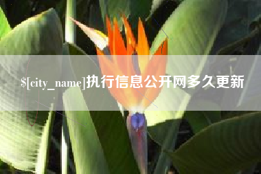 遵化市执行信息公开网多久更新