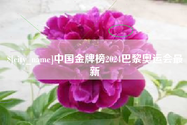 遵化市中国金牌榜2024巴黎奥运会最新