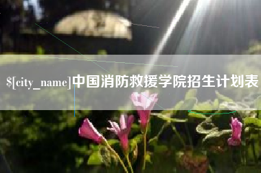 遵化市中国消防救援学院招生计划表