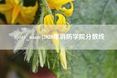 遵化市2020年消防学院分数线