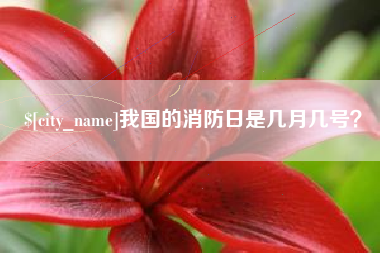 遵化市我国的消防日是几月几号？