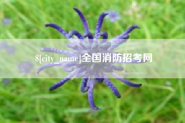 遵化市全国消防招考网
