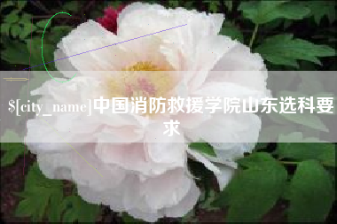 遵化市中国消防救援学院山东选科要求