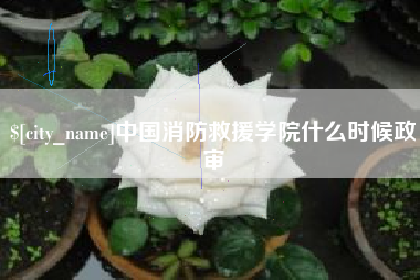 遵化市中国消防救援学院什么时候政审