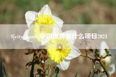 遵化市中国金牌是什么项目2024