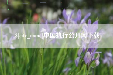 遵化市中国执行公开网下载
