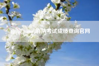 遵化市消防考试成绩查询官网